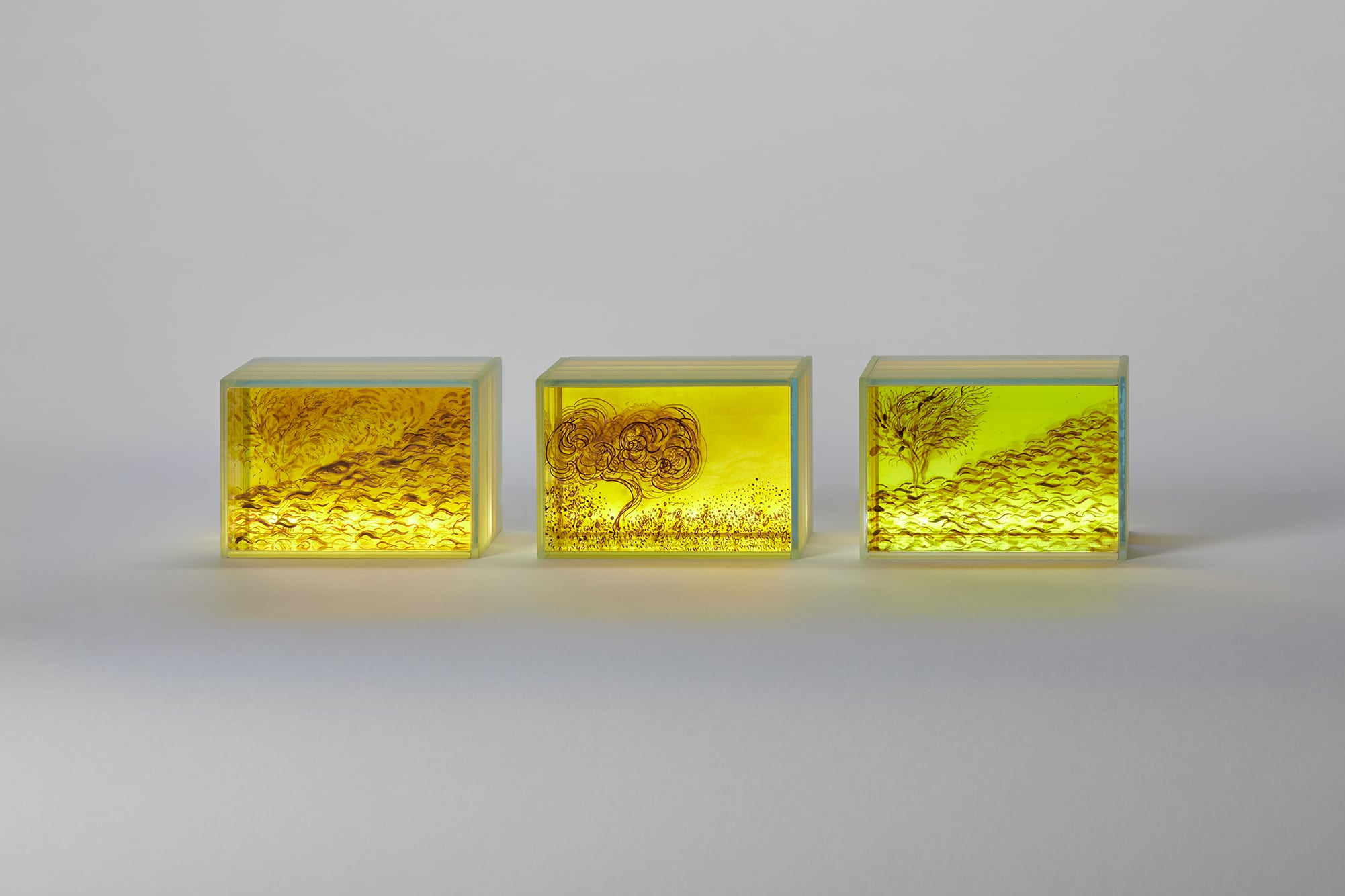 Three luminous yellow glass sculptures by Helen Brough, featuring intricate painted designs inspired by nature, with layered glass and dynamic light effects.