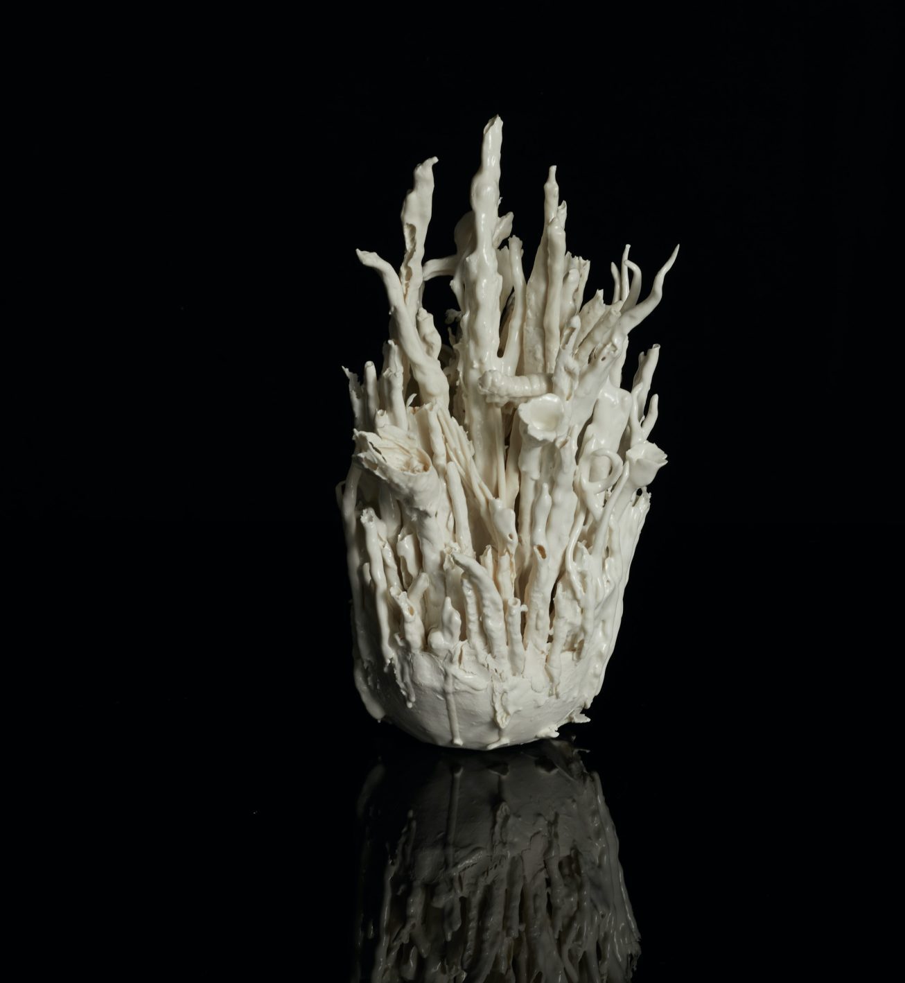 Mondo Attraction by Lucille Lewin image by James Campion