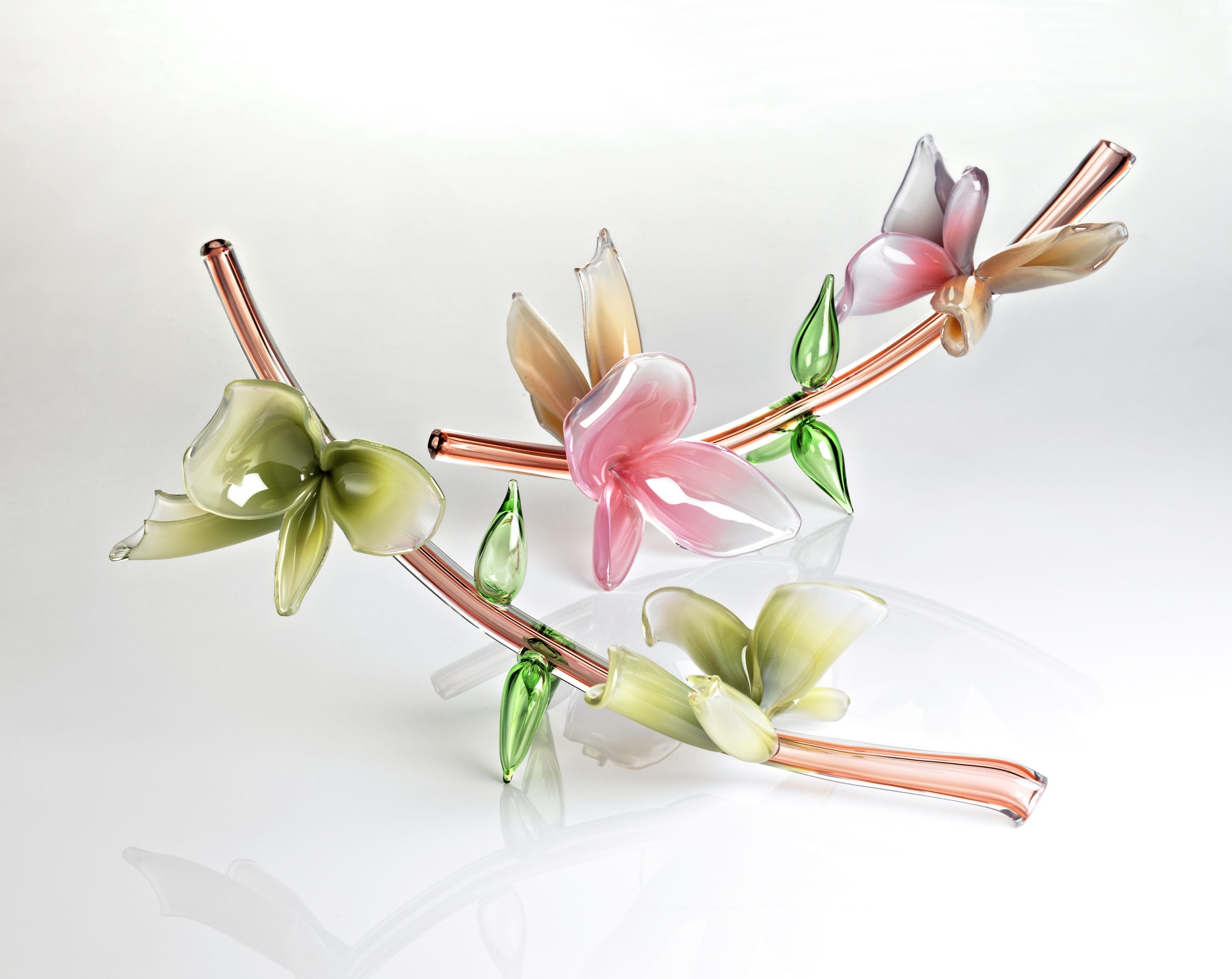 Michèle Oberdieck - Japanese Blossoms - Glass Sculptures - Fantasy Plants Series - Photography George Ong